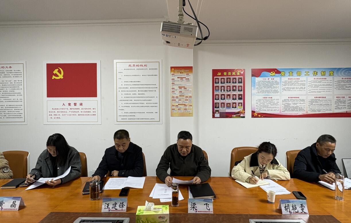 國投集團黨委召開2024年度黨支部書記 抓基層黨建工作述職評議會